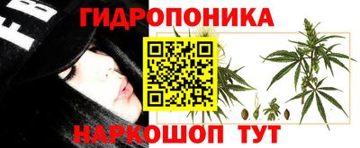мескалин Аргун
