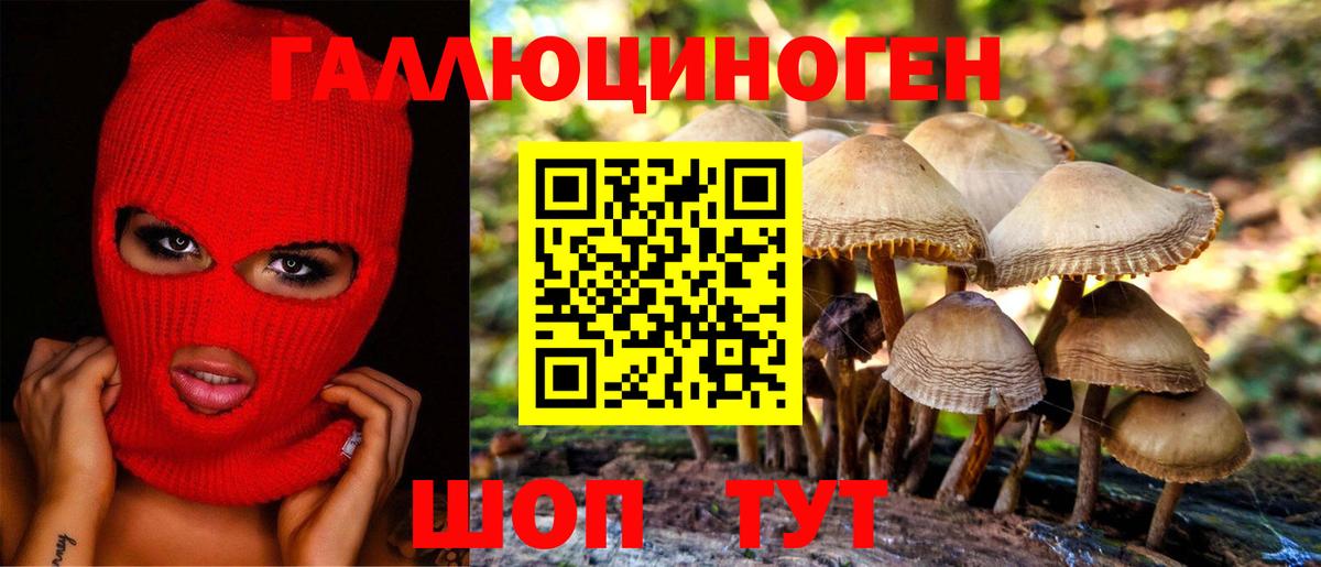 Галлюциногенные грибы MAGIC MUSHROOMS Будённовск