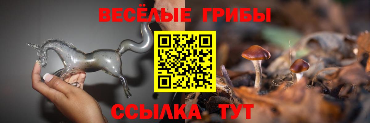 Галлюциногенные грибы MAGIC MUSHROOMS  Галлюциногенные грибы мицелий  Вход с VPN  Будённовск 