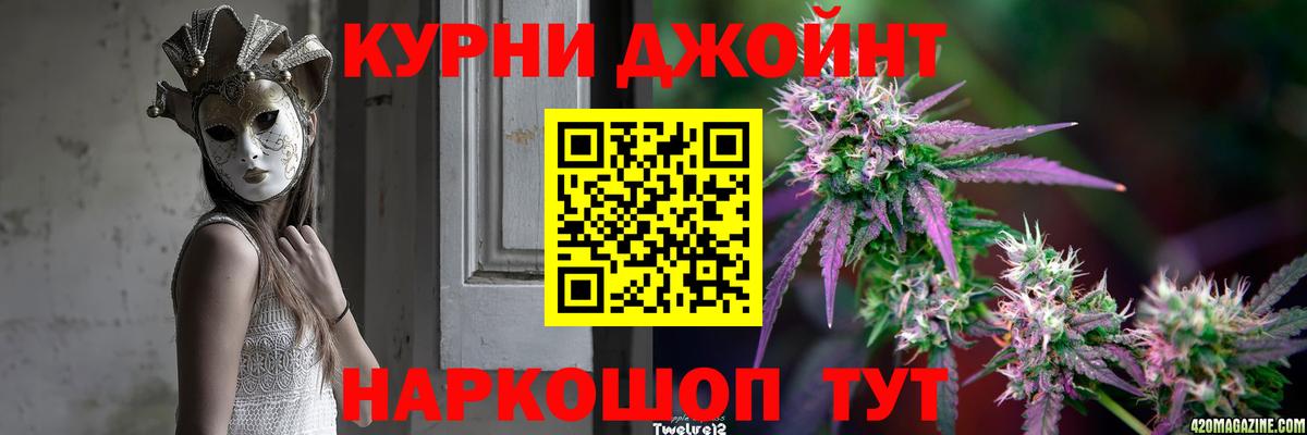 Бошки марихуана план Будённовск